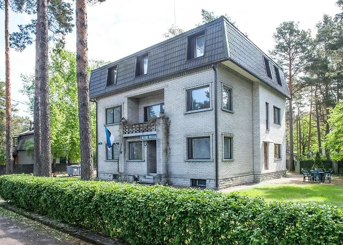 Alexi Villa